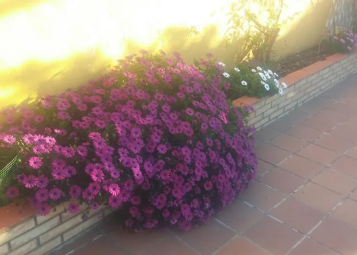 Bed & Breakfast El Enganche Cordoba