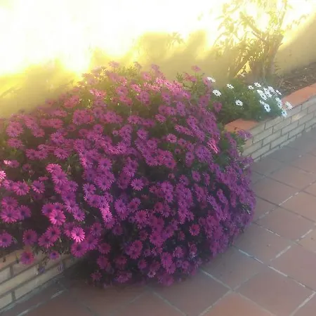 Bed & Breakfast El Enganche Cordoba